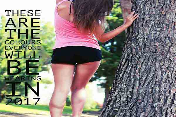 womens gym shorts